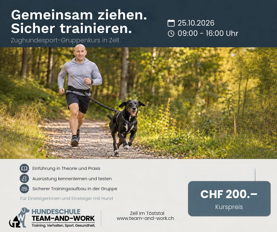 Zughundesport-Gruppenkurs in Zell im Tösstal