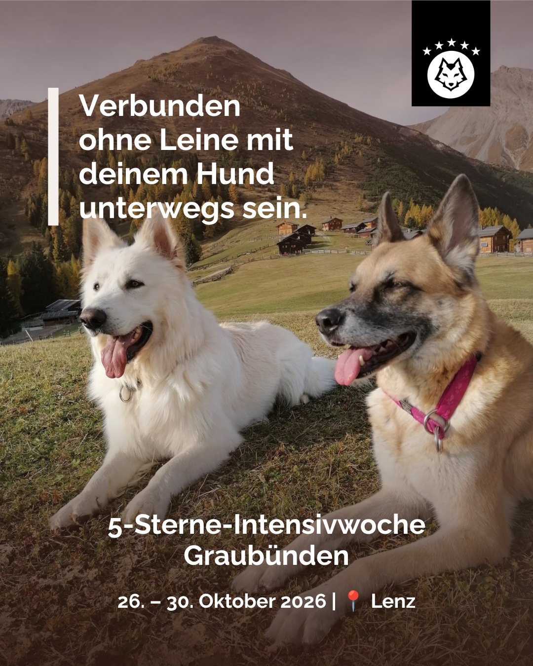 5-Sterne-Intensivwoche